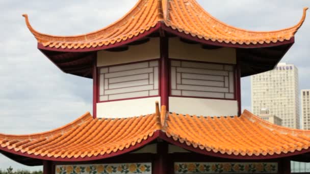Edmonton chinese tuin pagode — Stockvideo