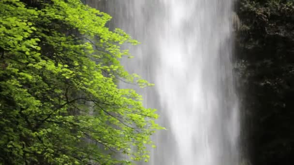 Cachoeira de Upper North Falls — Vídeo de Stock