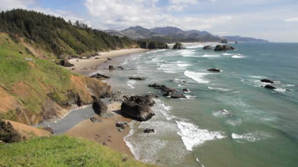 Cannon beach — Wideo stockowe