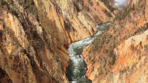 Rio Yellowstone — Vídeo de Stock