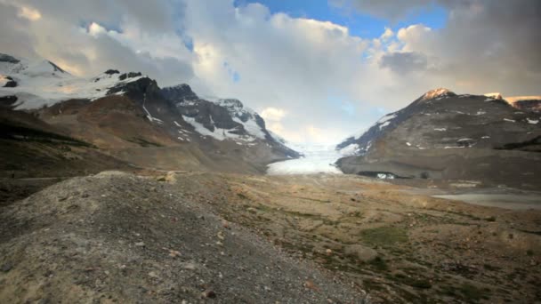 Glaciar Athabasca — Vídeo de stock