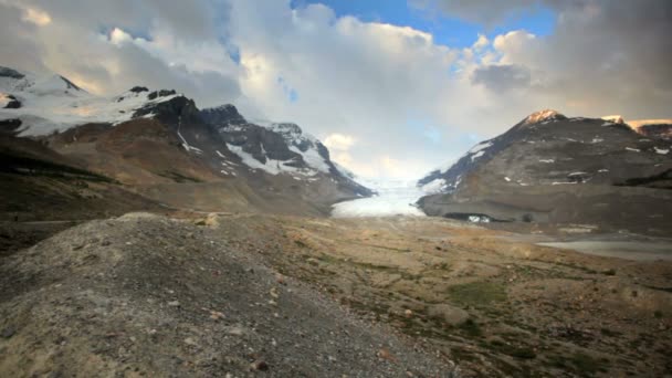 Athabasca glaciär — Stockvideo