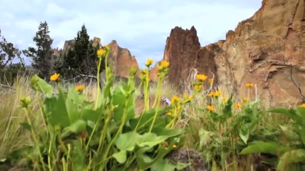 Smith Rock — Wideo stockowe