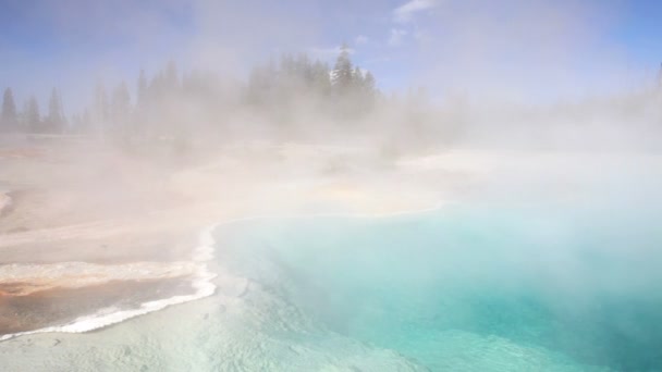 Svart pool geyser 2 — Stockvideo