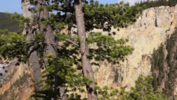 Unterer Yellowstone Wasserfall — Stockvideo