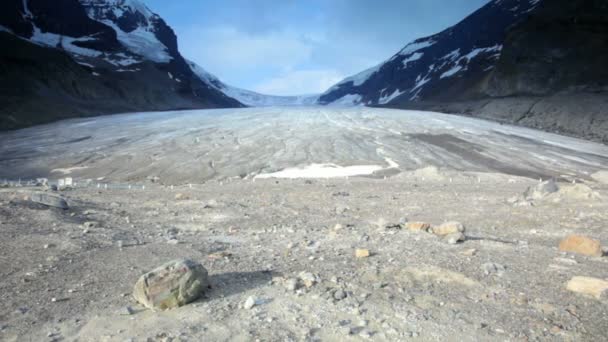 Athabasca-gletsjer — Stockvideo