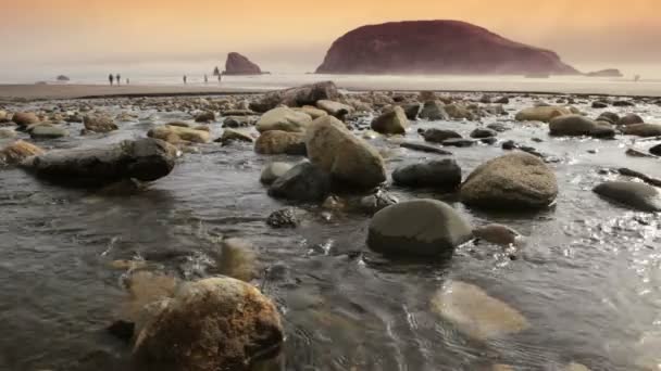 Costa de Oregón — Vídeo de stock