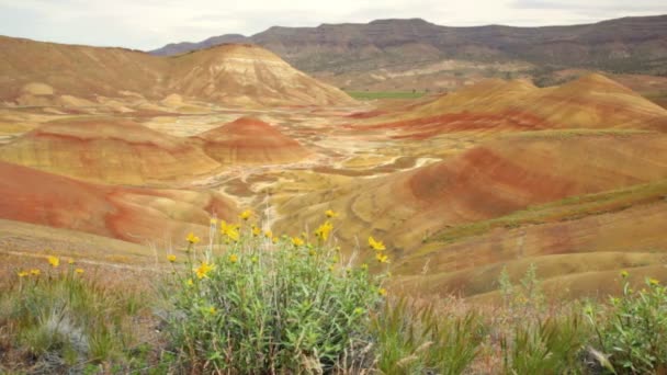 Geschilderde heuvels, oregon — Stockvideo