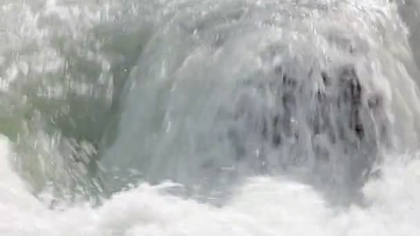 Tekme at nehir — Stok video