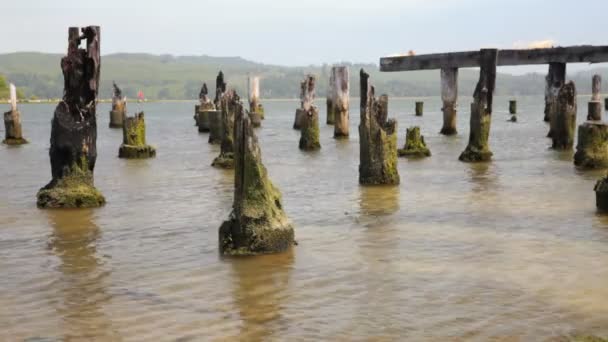 Pier Pilings — Stock Video