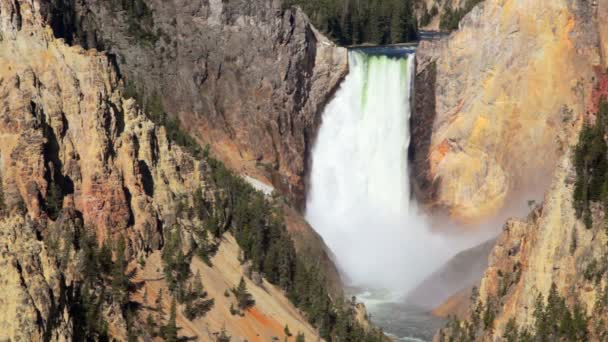 Нижня Yellowstone водоспад — стокове відео