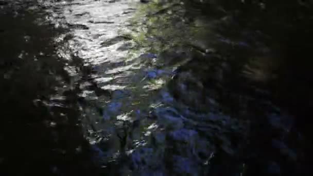 Umpqua rivier — Stockvideo