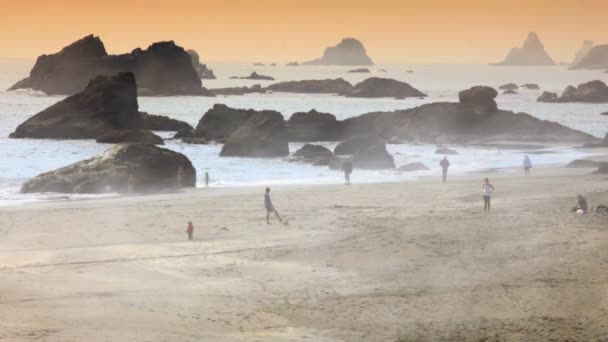 Туман накатывает на пляже — стоковое видео