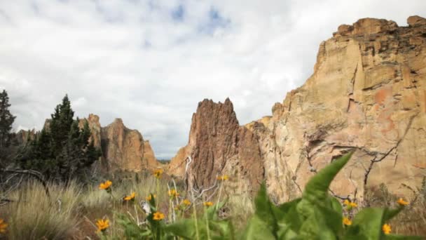 Smith Rock — Stockvideo