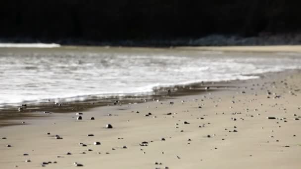 Playa de cañón — Vídeos de Stock