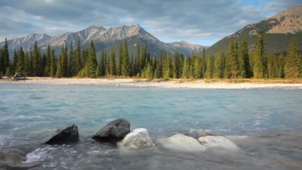 Kootenay River — Stock Video