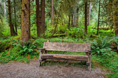 Empty Log Bench in the Forest clipart