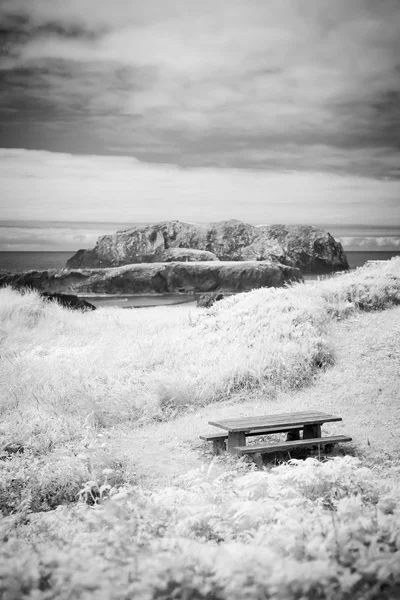 オレゴン州の海岸にピクニック用のテーブル — ストック写真