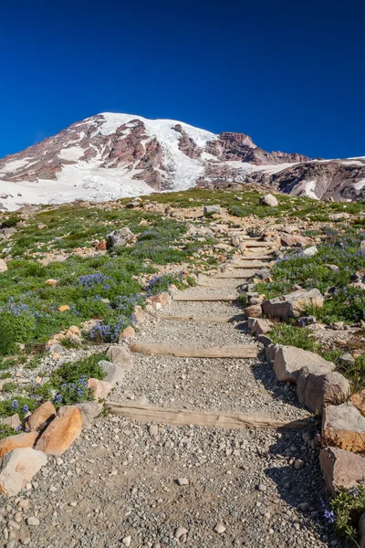 Wanderweg zum Mount Rainier — Stockfoto