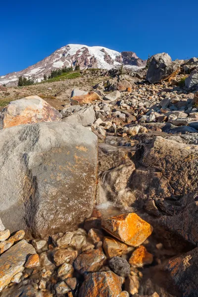 Mount rainier — Stock fotografie