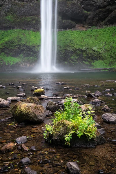 Bas av South faller i Silver Falls State Park — Stockfoto