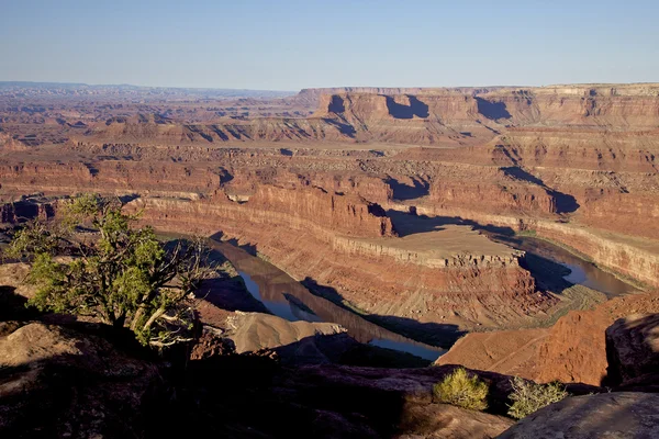 Caballo muerto punto utah moab —  Fotos de Stock