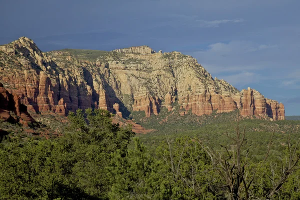 Червона скеля країни Sedona Арізона — стокове фото