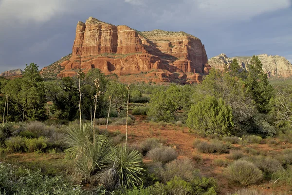 Czerwona skała kraju sedona w stanie arizona — Zdjęcie stockowe