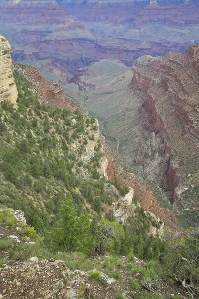 Grand canyon landskap — Stockfoto