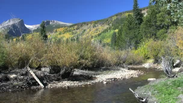 Colorado Mountain River Escénico en otoño — Vídeos de Stock