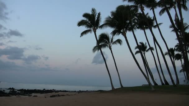 Playa Maui al atardecer — Vídeo de stock