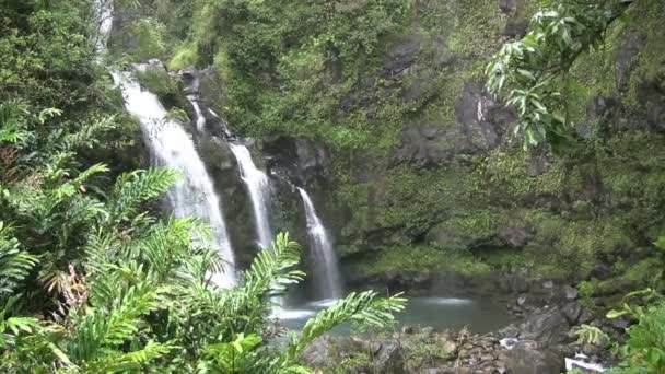 Тропічний водоспад — стокове відео
