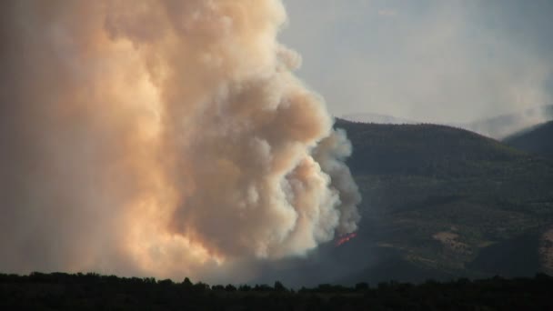 Wildfire i utah berg — Stockvideo