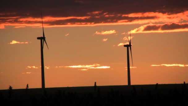 Windturbines in zonsondergang — Stockvideo