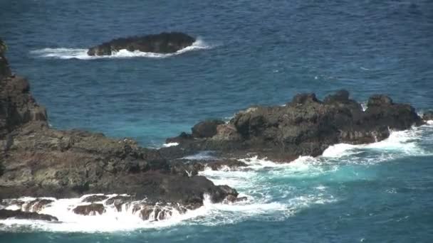 Costa da ilha acidentada — Vídeo de Stock