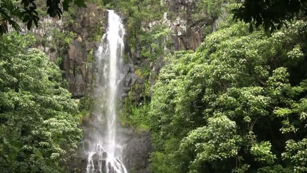 Tropischer Inselwasserfall — Stockvideo