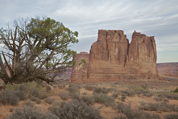 Parque Nacional Arches Utah — Foto de Stock