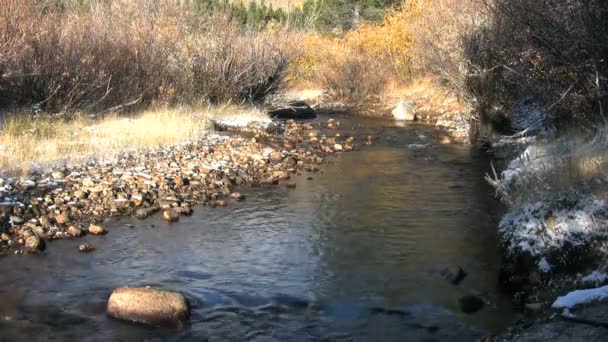 Mountain Stream in Fall — Stock Video