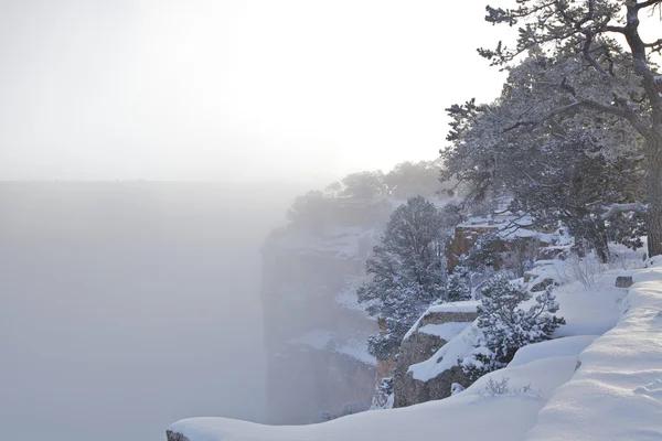 Nieve en el Gran Cañón —  Fotos de Stock