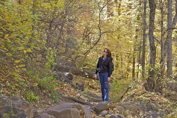 Hiking in Fall Foliage — Stock Photo, Image