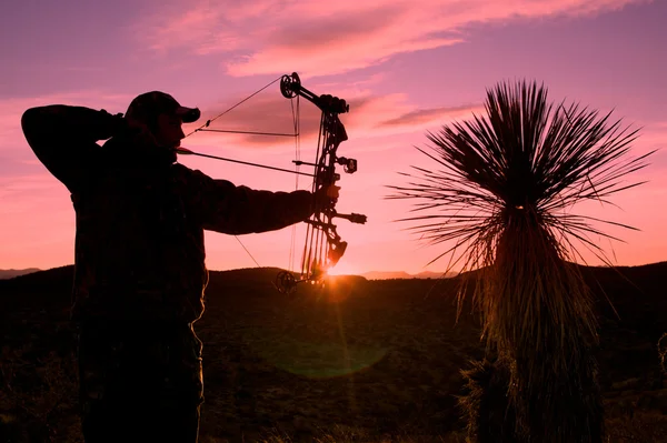 Bowhunter in Sunset — Stock Photo, Image