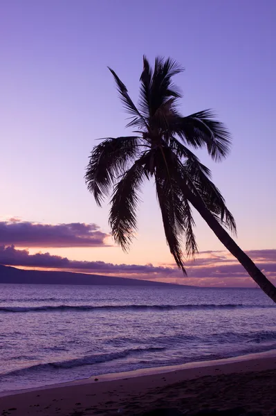 Isla de Palma en la puesta del sol — Foto de Stock