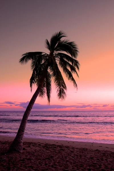 Isla de Palma en la puesta del sol — Foto de Stock