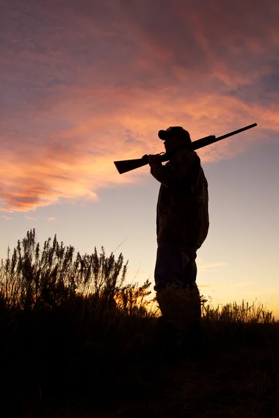 Sunrise kuş avcısı