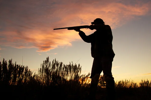 Chasseur d'oiseaux au lever du soleil — Photo