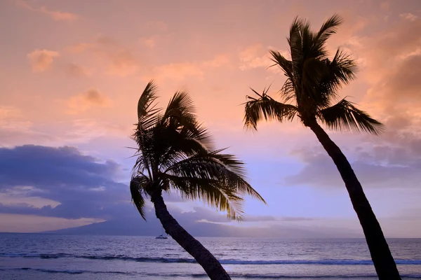 Tramonto tropicale hawaiano — Foto Stock