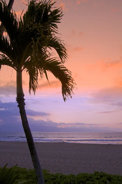 Tropische Hawaiiaanse zonsondergang — Stockfoto