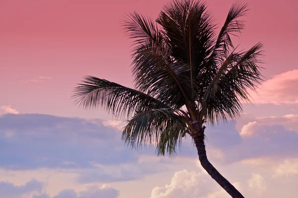 Tropical Hawaiian Sunset — Stock Photo, Image