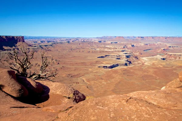 Parc national des Canyonlands Utah — Photo