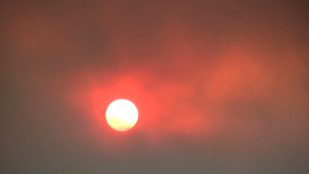 Soleil rouge et fumée de feu de forêt 